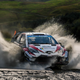 Illustration for article titled Fantasy WRC Preview: Rally of the 1,000 Sheeps